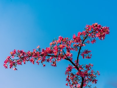 Actualiza tu oficina con la promoción Spring Refresh de LiberNovo