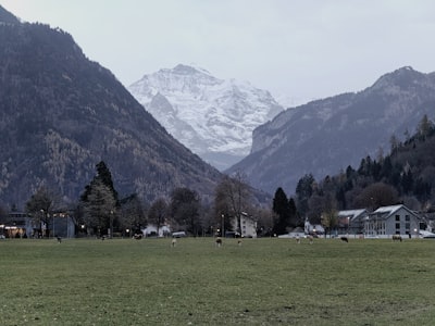 El Premio Ig Nobel se muda a Suiza tras 35 años por motivos de seguridad