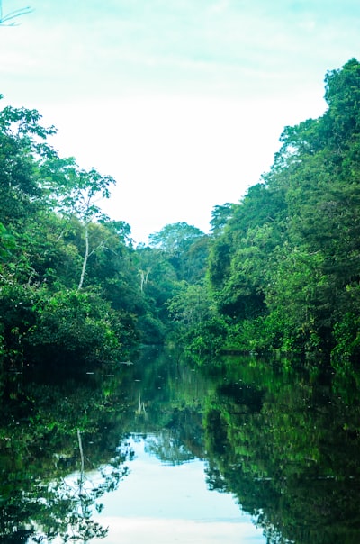 Ecoturismo sin impacto en la Amazonía peruana