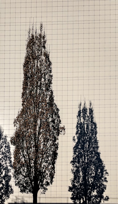 SMOTE vs submuestreo: impacto en calibración y cómo solucionarlo