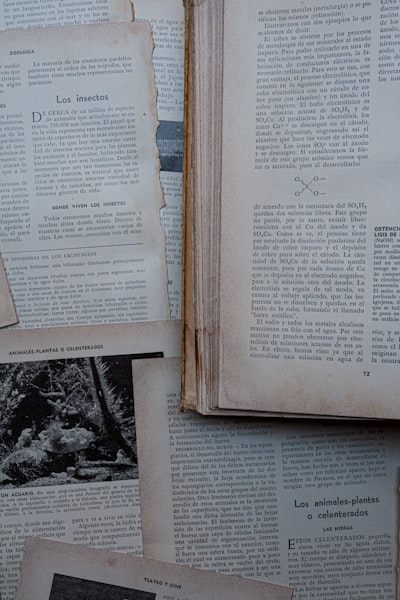 Moltbook: ¿Slopocalipsis inofensiva o último experimento humano?