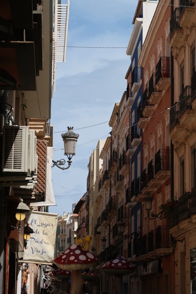 Socio de vibe coding en Alicante con más de 15 años de experiencia