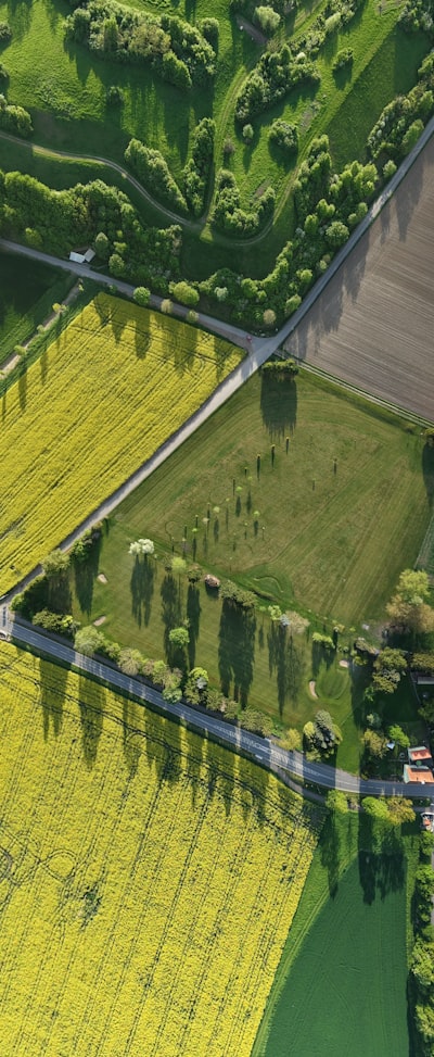 IA para mapas agrícolas detallados y sostenibles