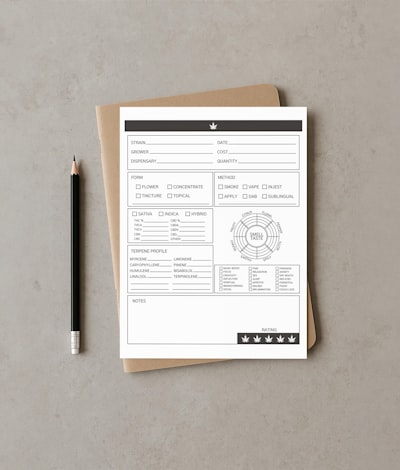 Guía para elegir el mejor partner de intranet en Bilbao
