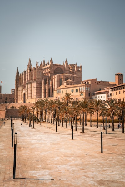 Los mejores especialistas en software de campo en Palma