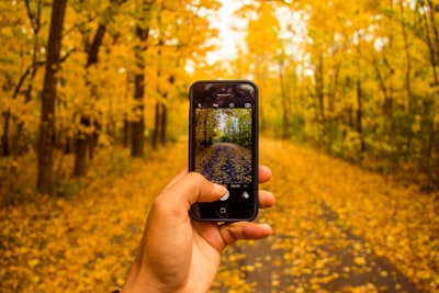 ¿Las aplicaciones móviles apoyan la transformación digital ecológica?