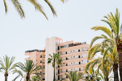  Top 100 Expertos en automatizar respuestas en formulario en Palma