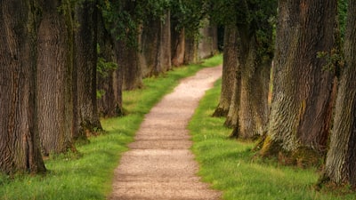  Formalizando y falsificando caminos causales de eventos raros