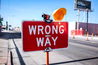Avoid These Common Mistakes: Choosing high-performance Custom Software for Government