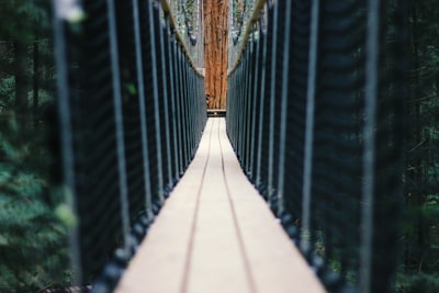 Haciendo que los datos sean conversacionales: Construyendo servidoresMCP como puentes API