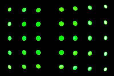 Comparación de los 6 principales modelos/sistemas de OCR (Reconocimiento Óptico de Caracteres) en 2025