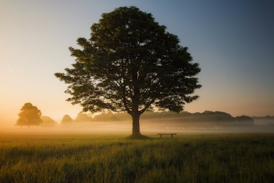  ReTreVal: Razonamiento en Árbol con Validación y Memoria entre Problemas