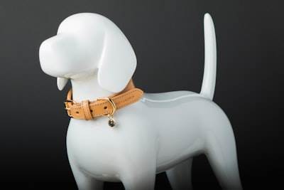 El mejor collar para Labrador: comodidad, durabilidad y seguridad para tu fiel compañero