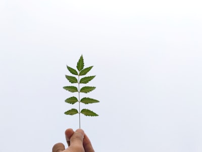¿Cómo contribuye la integración de ERP y contabilidad a las prácticas comerciales sostenibles?