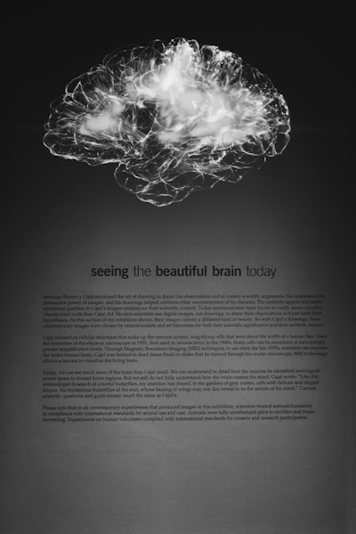 Meet Your New Brainy Buddy: Building an AI-Powered Learning Sidekick with KendoReact!