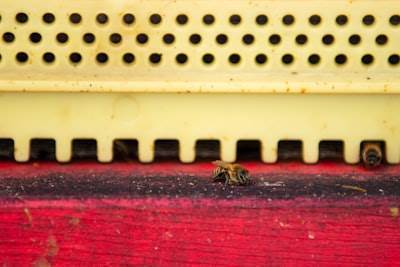 10 Errores frustrantes de API y lo que realmente significan