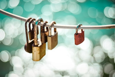 Desbloquea el Éxito con Programas de Gestión Personalizados Certificados
