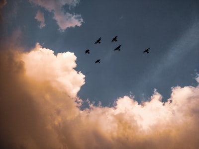 Top 10 Empresas de servicios de migración a la nube de Azure para empresas en Barcelona
