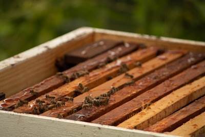 Consejos para mejorar el rendimiento de la API