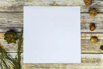 Lista de empresas proveedoras de servicios de SEO de etiqueta blanca