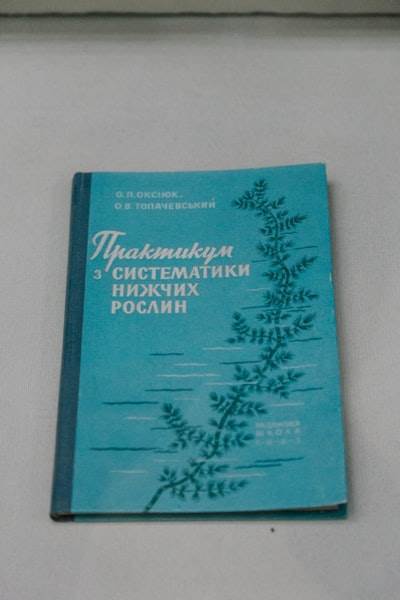 Una guía para principiantes del modelo Kokoro-82m-All-Voices de Vladpolbennikov en Replicate