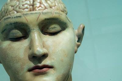 ¡Impactante tecnología de implantes cerebrales revelada para restaurar el habla!