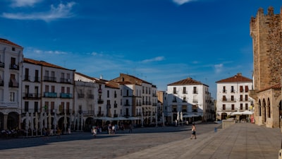 Top 5 Expertos en n8n en Zamora