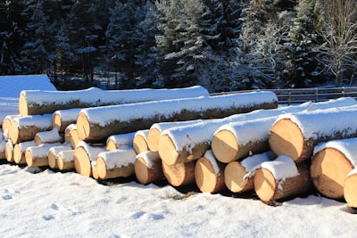 ELK, Loki, y Graylog fueron sobrecargue, por lo que construí Log Bull