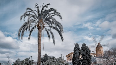Los documentos profesionales se mejoran automáticamente con servicios de IA en Palma