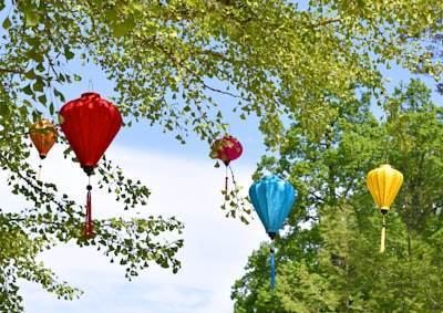 El mundo maravilloso de los globos: Una guía simple y amigable