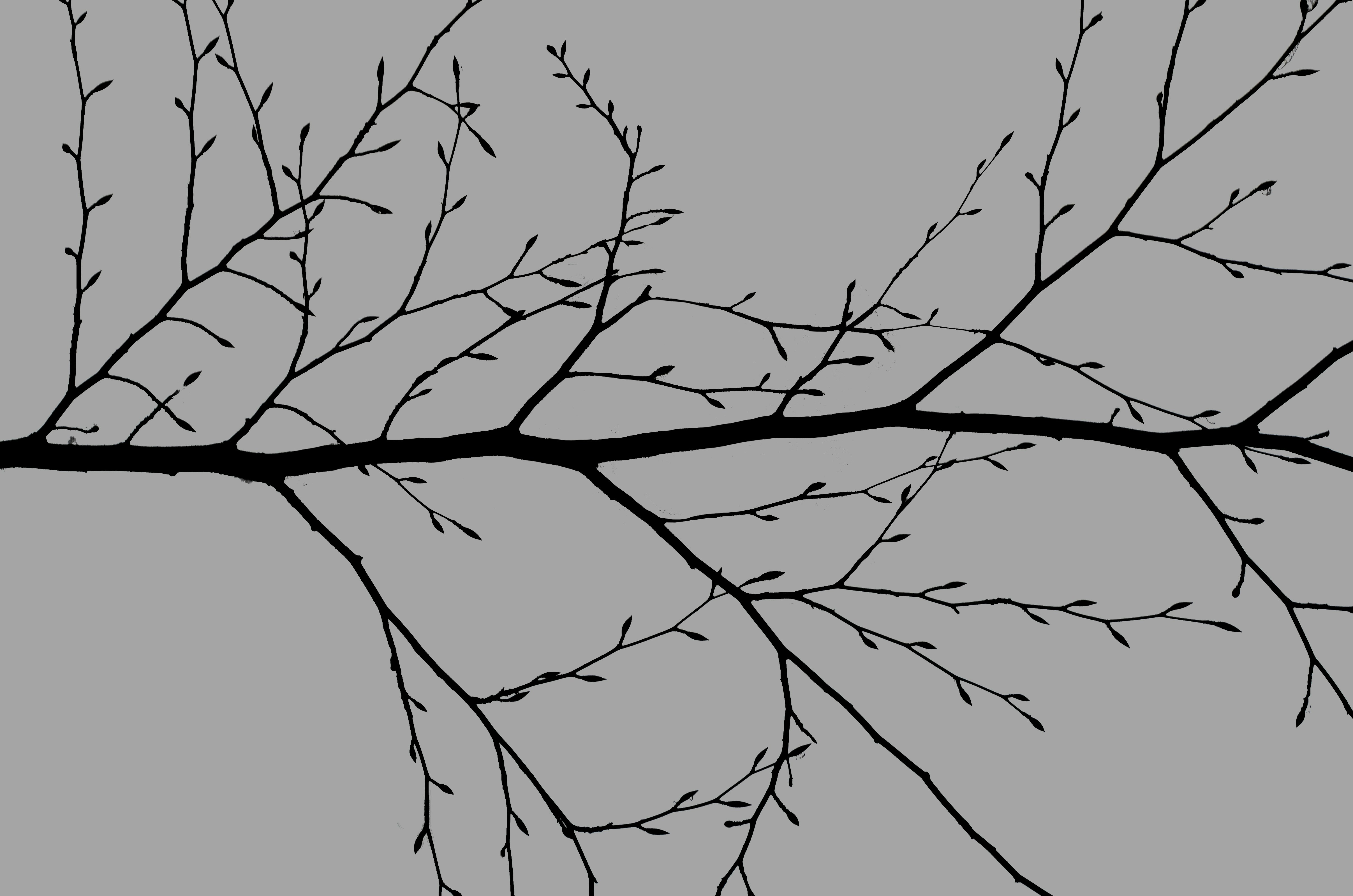 Desarrollando dos características al mismo tiempo con ramas de Git (merge)