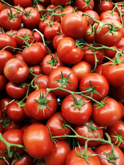 ToMAToMP: Agrupamiento Topológico Robusto y Multiparámetro