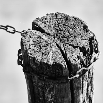 Un dilema moral: sopesando el utilitarismo y la deontología