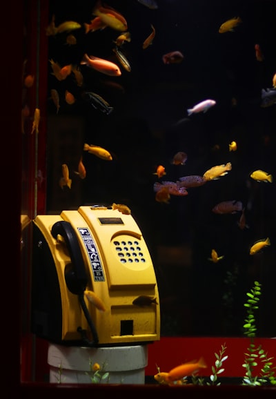 Una inmersión profunda en los costos y retorno de inversión avanzados de la automatización de llamadas entrantes