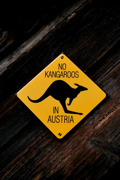 Australian MSPs son los jugadores críticos en la adopción segura de la IA para PYMES