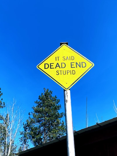 La ingeniería ha muerto, que viva la ingeniería.