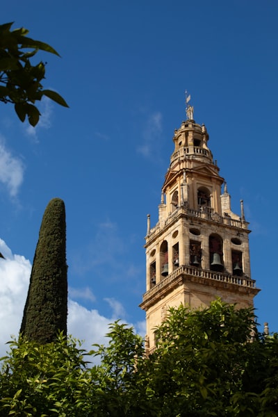 Top 3 Empresas de servicios de consultoría tecnológica en Córdoba