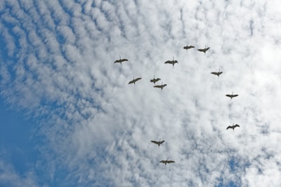 Top 30 Empresas para servicios de migración a la nube de Azure para empresas en Barcelona