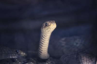 Aprendiendo Descenso de Gradiente para Machine Learning con un Ejemplo Simple en Python