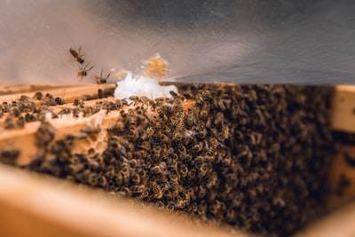 ¿Por qué las pruebas de API de extremo a extremo son más difíciles de lo que parecen?