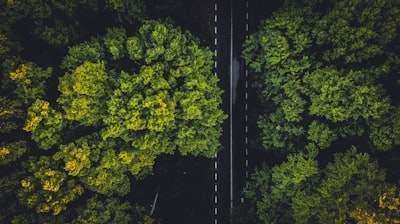  ¿Cómo puede un socio de transformación digital apoyar los objetivos ambientales?