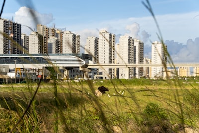 Cómo el Desarrollo Inmobiliario Sostenible está Moldeando el Mercado Inmobiliario de los Emiratos Árabes Unidos