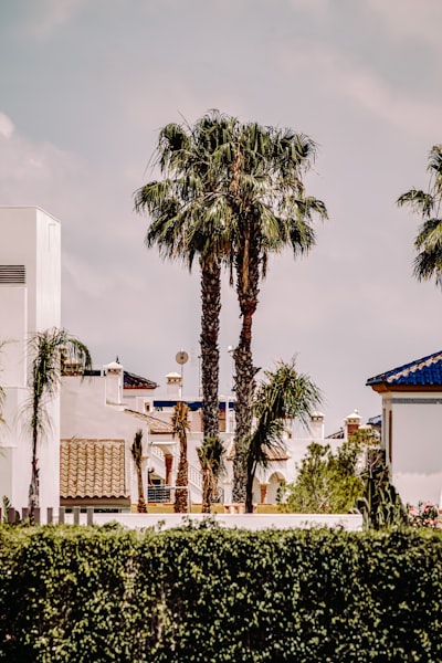 Mejores 100 empresas de software en Orihuela