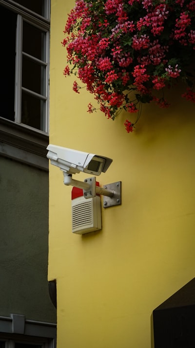 Privacidad en subdominios: Aquí son los aspectos en que debes enfocarte