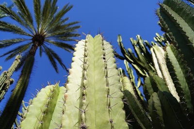 Las 20 mejores empresas para automatizar el inventario en tiempo real en Elche