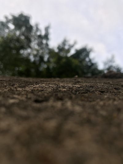 Puede Formar el Terreno Fuera de la Tierra?