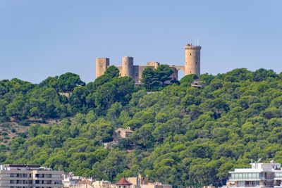 Top 5 Expertos en servicios de inteligencia artificial en Castelldefels