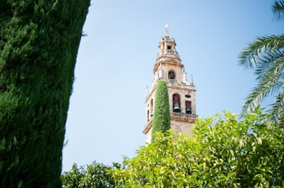 Top 100 Expertos en consultoría de transformación digital en Córdoba