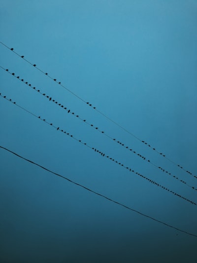 Revisión de la red móvil de Optus después de fallos en Triple Zero