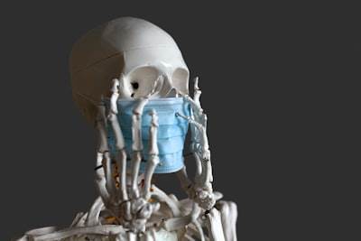  Enhanced Bone Fractura Predicción a través de la Integración de FEA Multimodal e Inteligencia Profunda